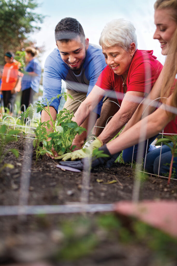 Volunteering in a community garden